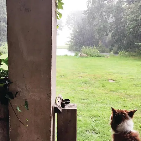 Feriehus In Eichhorst With Kitchen