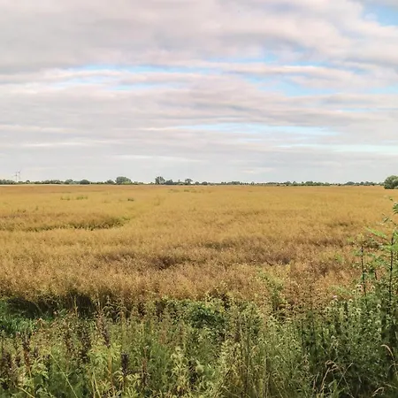 Feriehus In Eichhorst With Kitchen