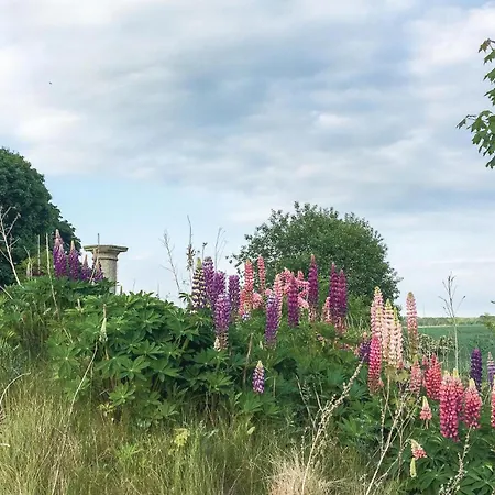 In Eichhorst With Kitchen *