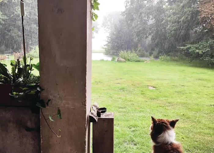 Ferienhaus In With Kitchen