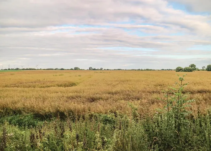 Ferienhaus In With Kitchen